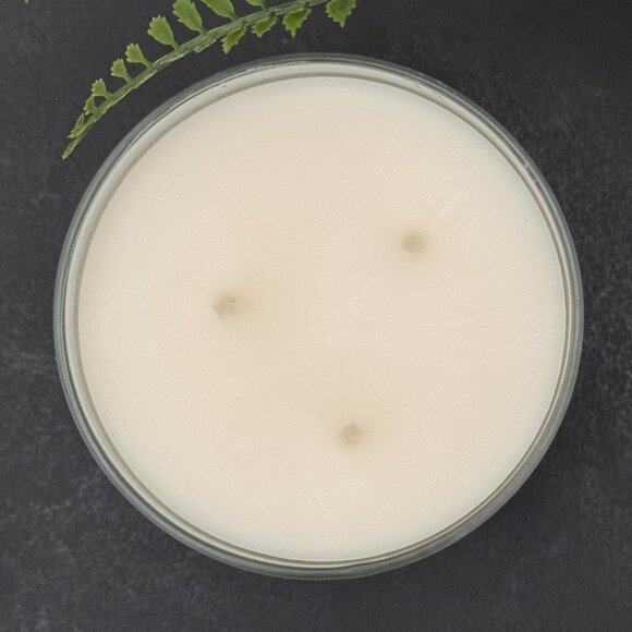 BBW Sea Salt & Sails Bath & Body Works 3 Wick Candle - Picture 7 of 10